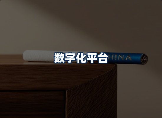 专业团队办公环境